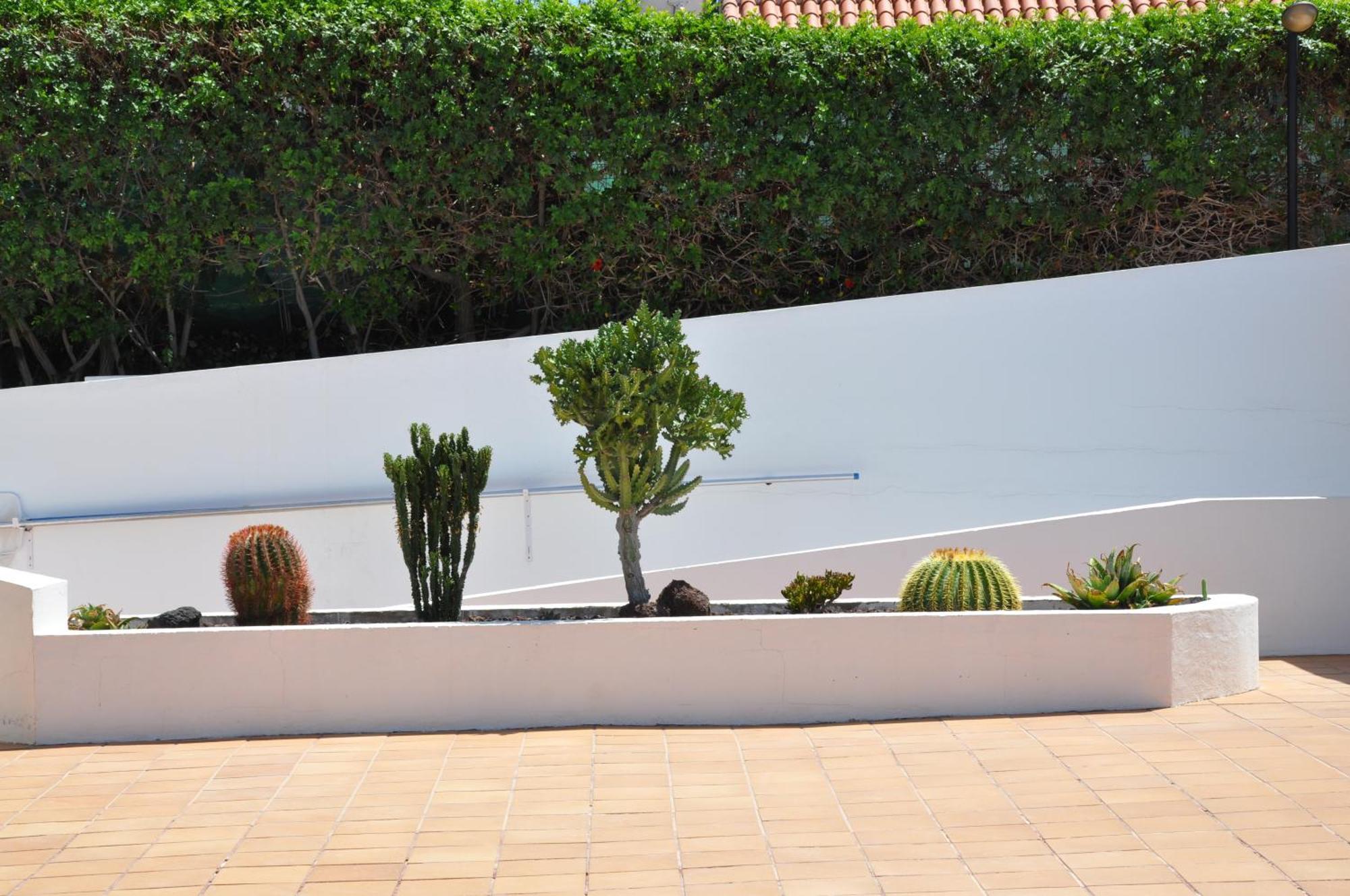 Serenity Garden 마스팔로마스 외부 사진